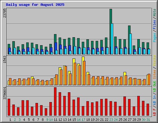 Daily usage for August 2025