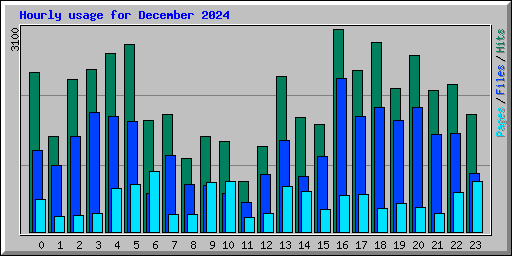 Hourly usage for December 2024