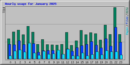 Hourly usage for January 2025