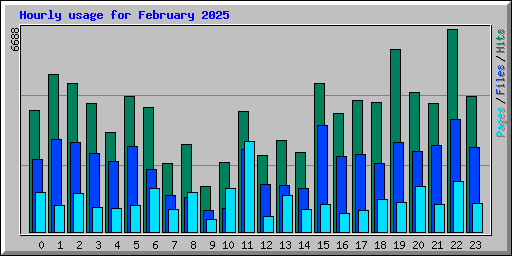 Hourly usage for February 2025