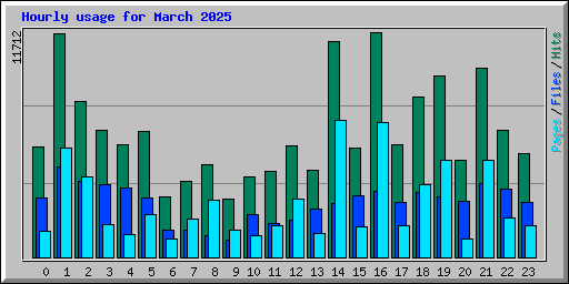 Hourly usage for March 2025