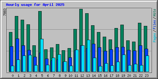 Hourly usage for April 2025
