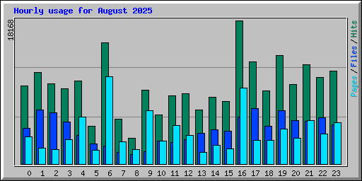 Hourly usage for August 2025