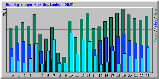 Hourly usage for September 2025