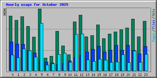 Hourly usage for October 2025