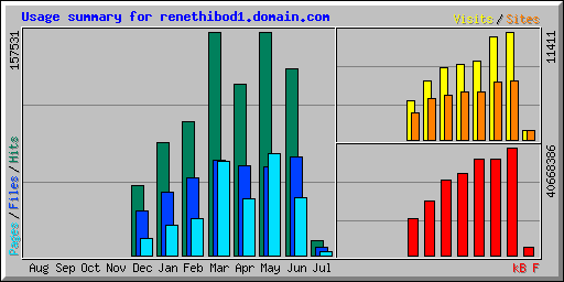 Usage summary for renethibod1.domain.com